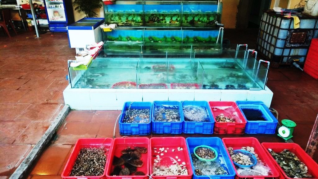 hồ hải sản