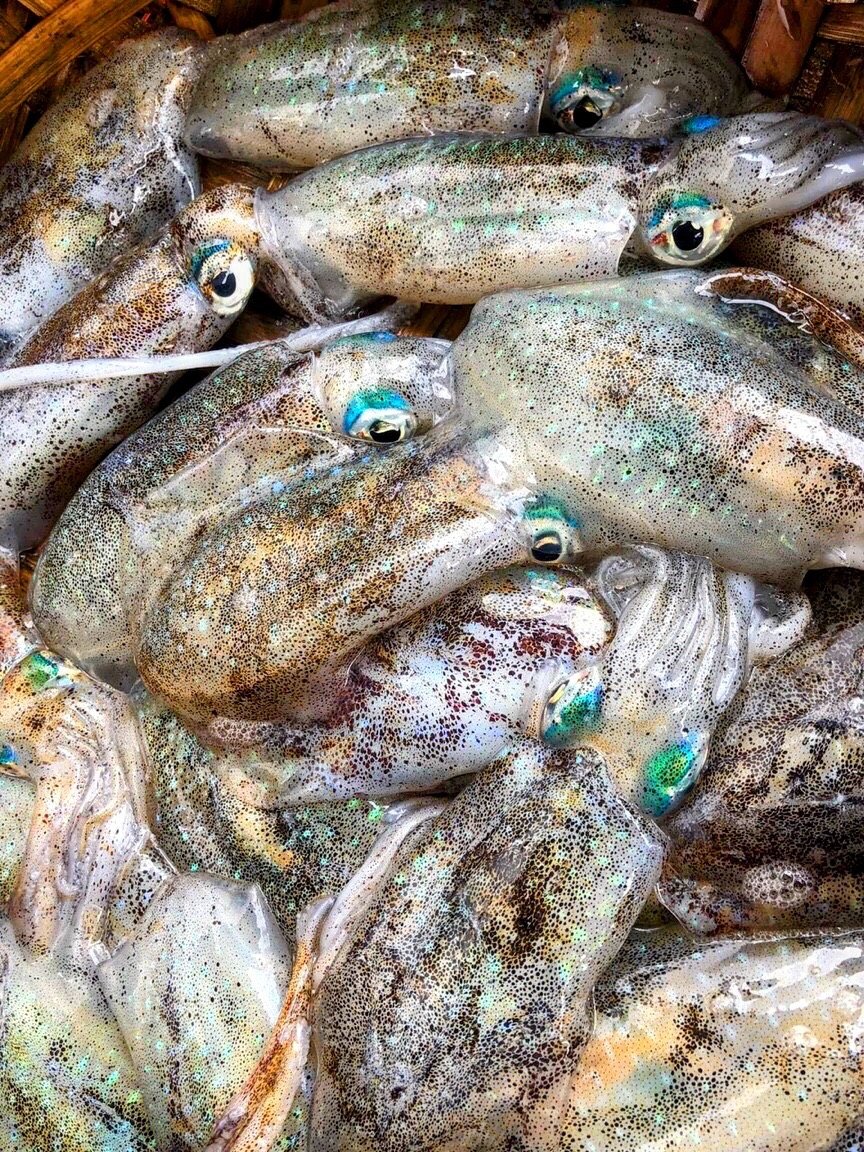 Hải sản Ngon Đà Nẵng