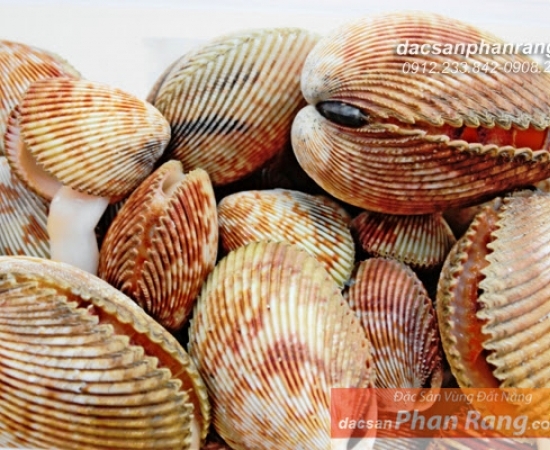 Sò Dương