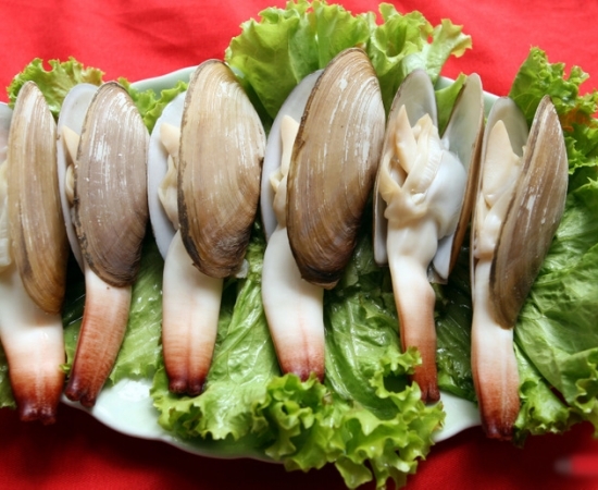 Tu hài