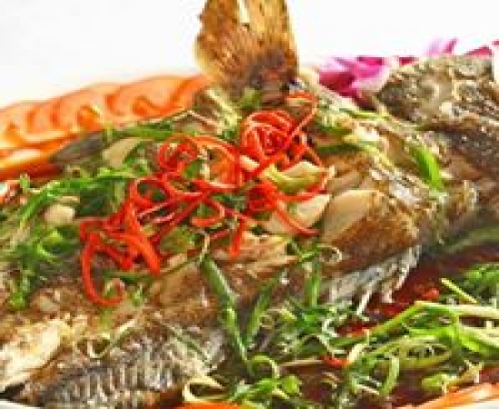 Cá sủ