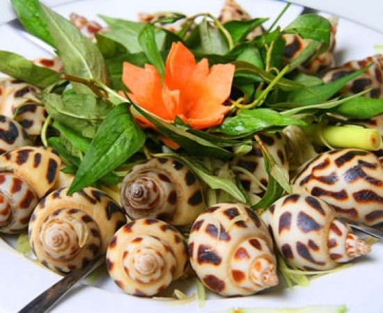 Ốc hương 